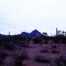 (61)Desert Flora, Ironwood Forest National Monument, Pima County, Arizona