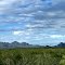 The Silverbell Mountains