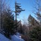 Snow on the Crest Trail