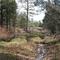 Pinetop, AZ, Lake of The Woods