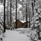 Winter, 2008
