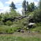 Pinetop trail