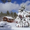 White Christmas