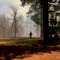 Into the fire