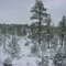 Snow in Show Low!!