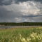 Scholz Lake
