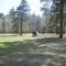 Spring Valley