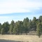 Along I-17, Looking North, Winter 2007