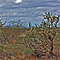 Arizona Desert at Ben Avery Shooting Range