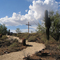 Desert View Bible Church Prayer Walk