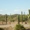 Arizona