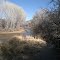 San Pedro River at Millville, Arizona