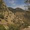 In the Huachuca mountains