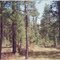 Arizona, flag staff,i' was there 1991