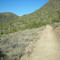 Overton trail-Cave Creek Regional Park