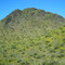 Cave Creek Regional Park