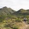 Near Trailhead of Go John Trail at Cave Creek Regional Park