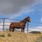 Lone Horse