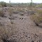 Desert Grave site