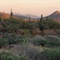 sonoran mountain landscape _ mcdowell mtns, scottsdale, arizona _ jan 20, 2008 _ (© 2008 megart)