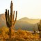 Arizona Morning