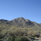 Looking up at Thompson Peak