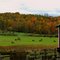 Field Near Wells,  Vermont
