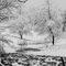 Winter Scene in Truthville, NY