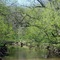 Sleepy Spring River