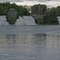 Vergennes Falls