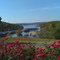 Big Cedar Lodge