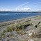 Beach at Birch Bay