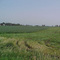 Mamre Township, Kandiyohi County, Minnesota