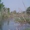 Mamre Township Wetlands