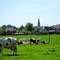 Zomergem, Bélgica