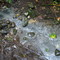 Bubbling Geyser