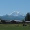 Mt. Rainier from Enumclaw