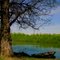  Danube river/ река Дунав