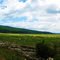Beautiful Washington.. July 2010