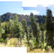 Canyon road panoramic