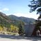 Star Valley Ranch Library