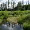 Beaver Pond. Squaw Creek. Caribou Mountains, Idaho.