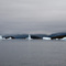 Icebergs in the Uunartoq fjord