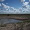 On the Levee