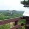 Mill Bluff State Park, WI