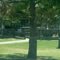 Park in Georgetown, TX