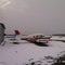 Snowbird