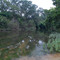 Barton Creek over Trautwein