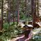 Outhouse at Baranof Lake Cabin