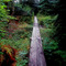 Baronof Warm Springs  Bay  trail